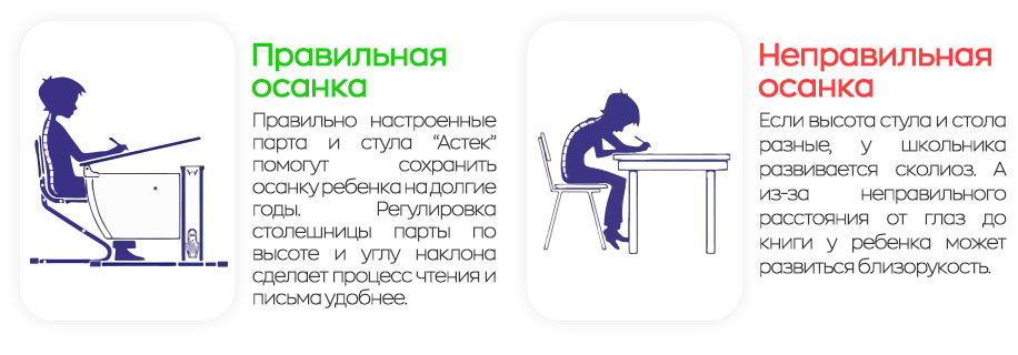 Party-Astek-description-1.jpg